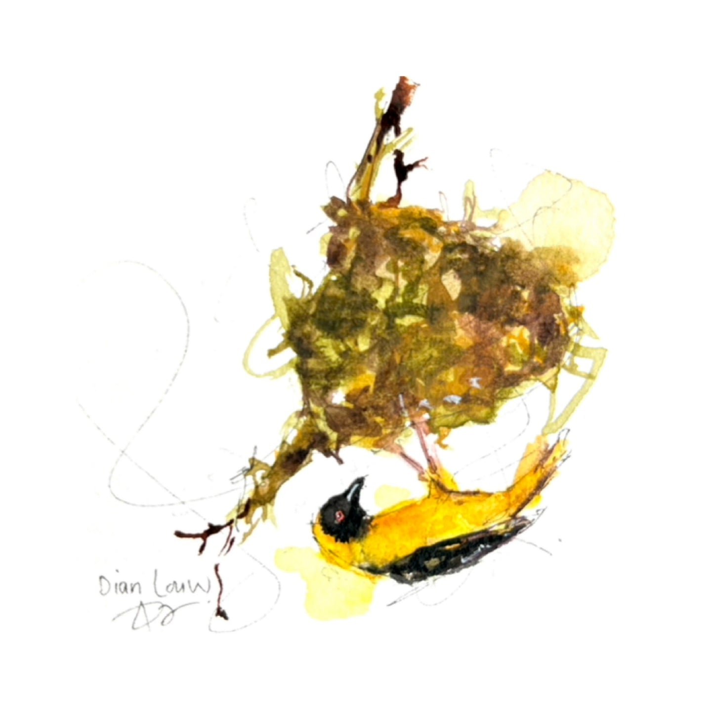 Weaver (Geelvink) #4