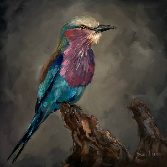 Lilac-breasted Roller (troupant)