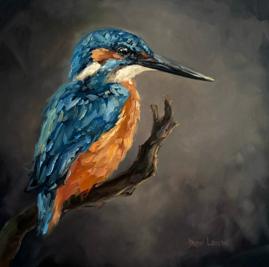 Kingfisher