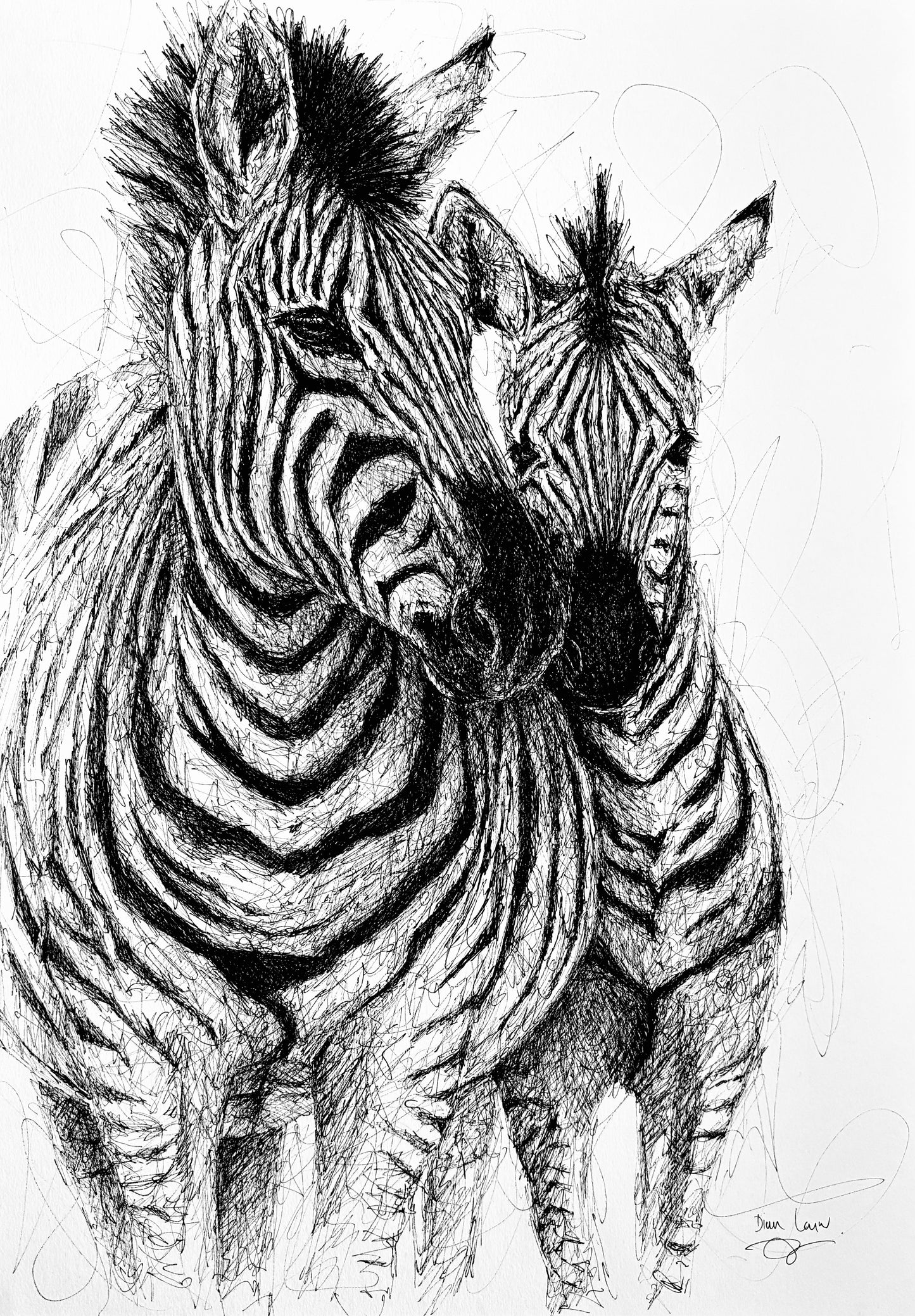 Bespoke Pen sketch (zebra)