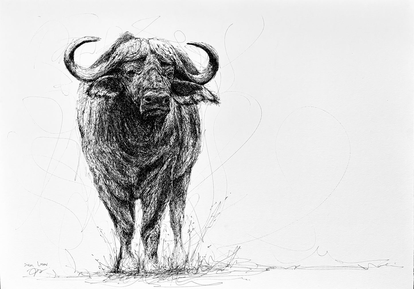 Bespoke Pen sketch (buffalo)