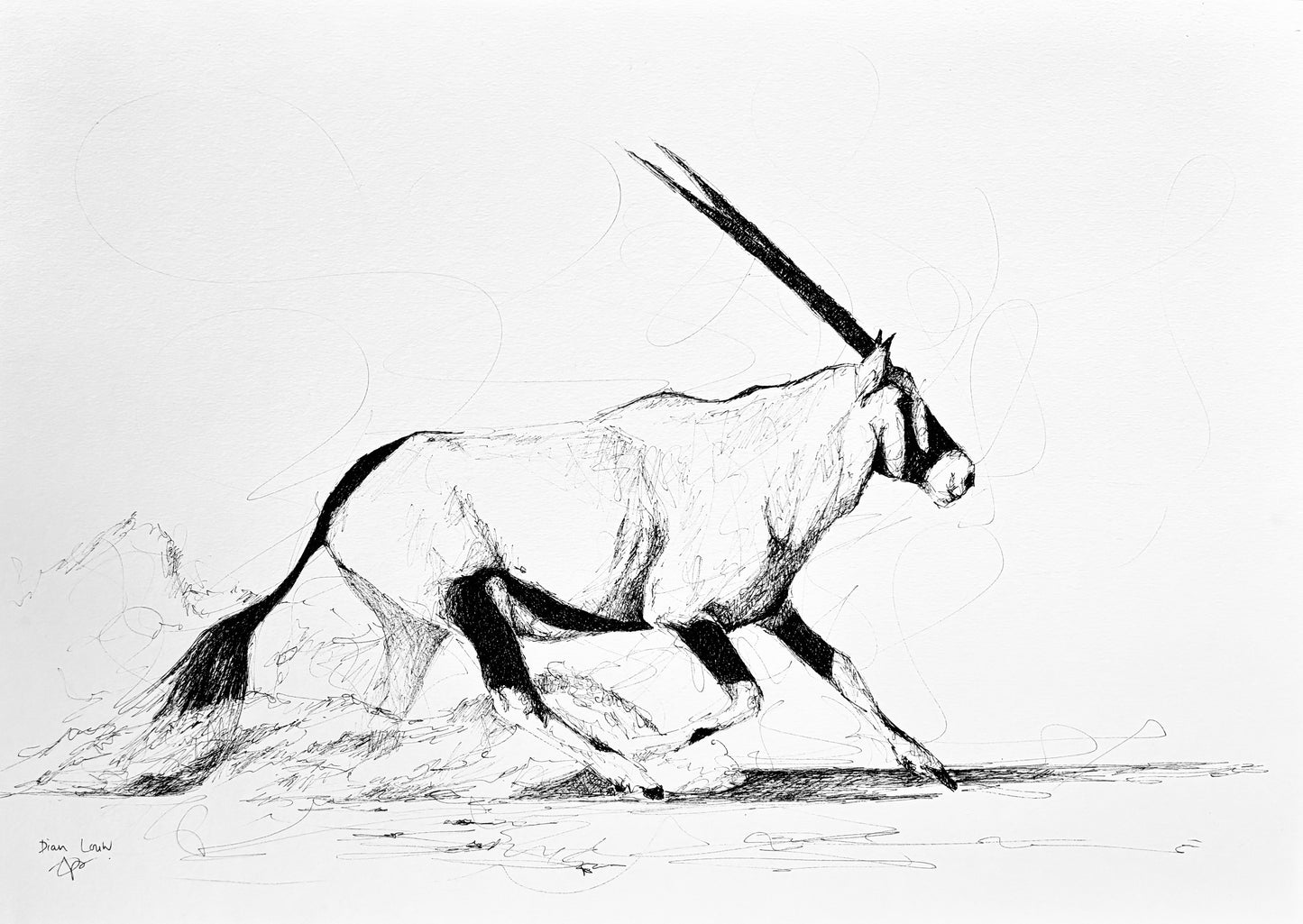 Bespoke Pen sketch (gemsbok / oryx)