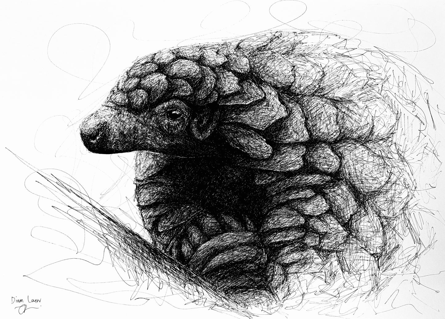 Bespoke Pen sketch (pangolin)