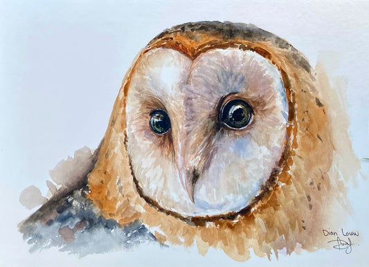 Owl  #2
