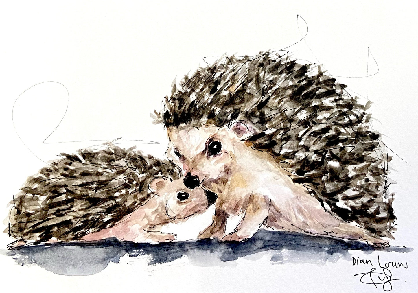 Two Hedgehogs