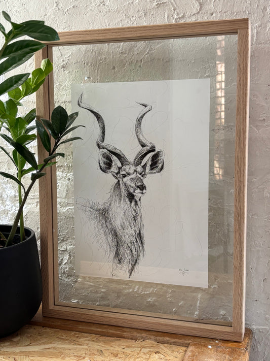 Bespoke Pen sketch (kudu)