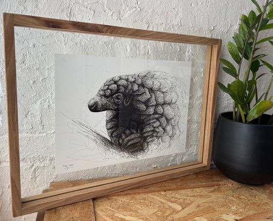 Bespoke Pen sketch (pangolin)