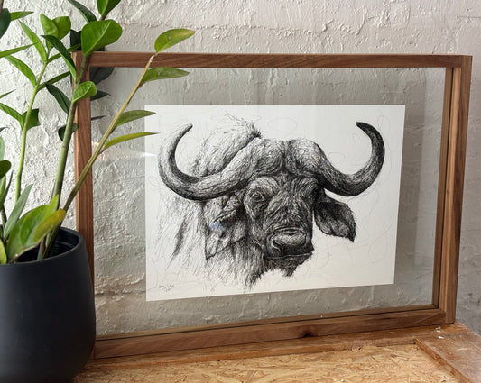 Bespoke Pen sketch (buffalo close-up)