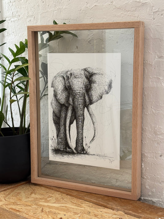 Bespoke Pen sketch (elephant tusker)