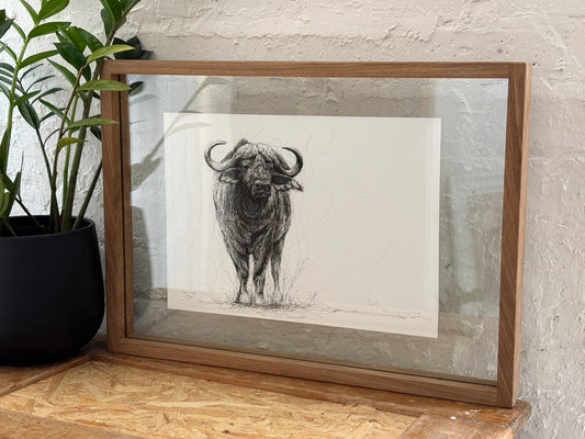Bespoke Pen sketch (buffalo)