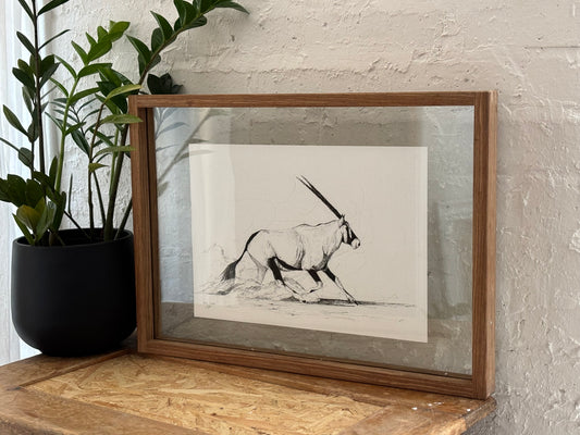 Bespoke Pen sketch (gemsbok / oryx)