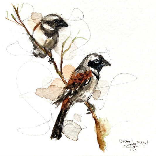 2 House sparrows (Mossies) #2