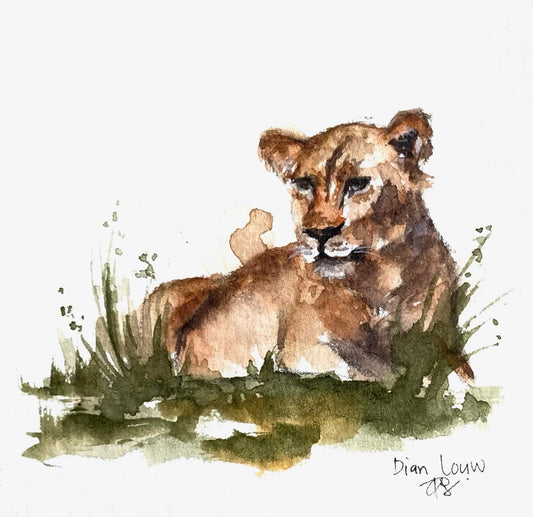 Lioness