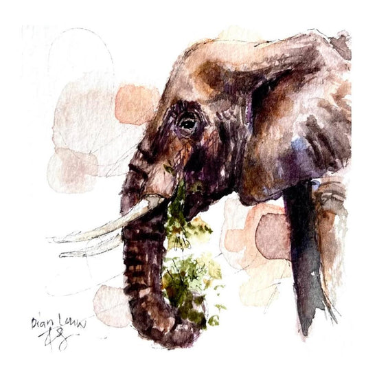 Elephant with branch