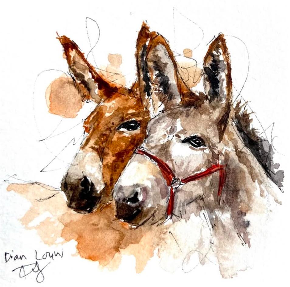 Two side Donkeys