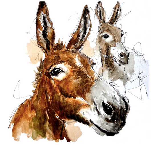 Two Donkeys close-up