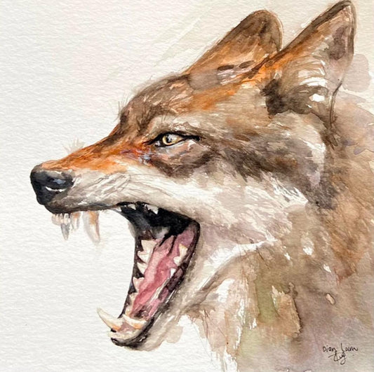 Wolf