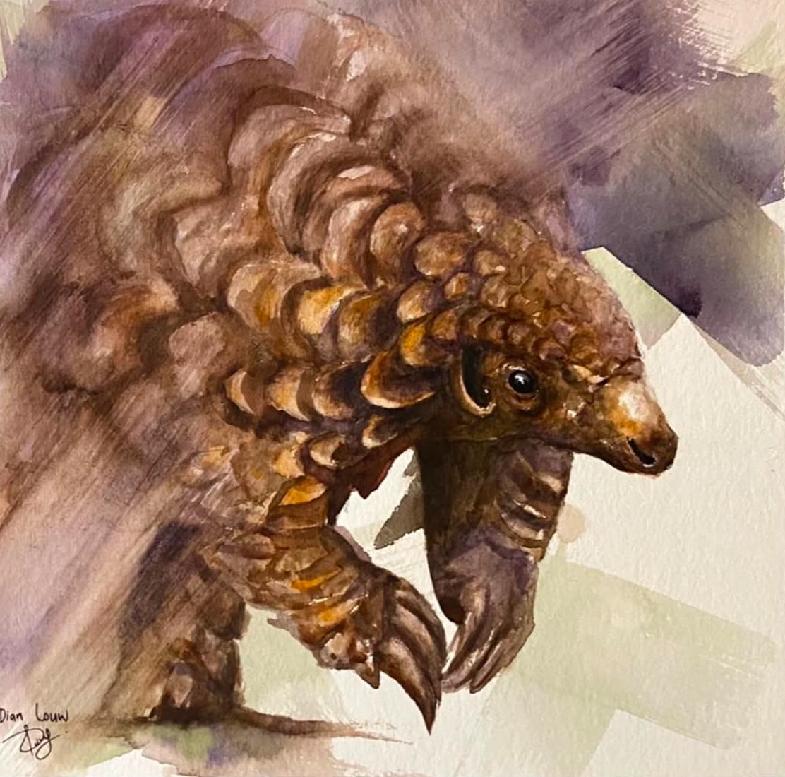 Pangolin close-up