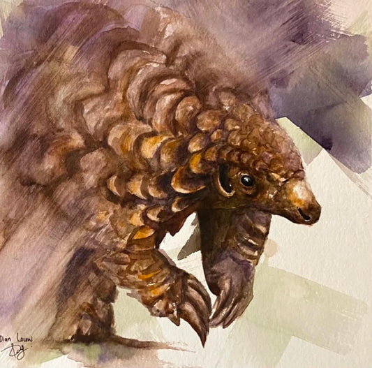 Pangolin close-up