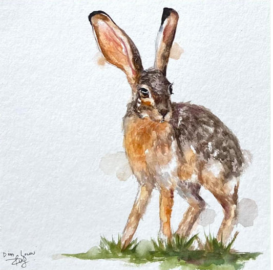 Rabbit