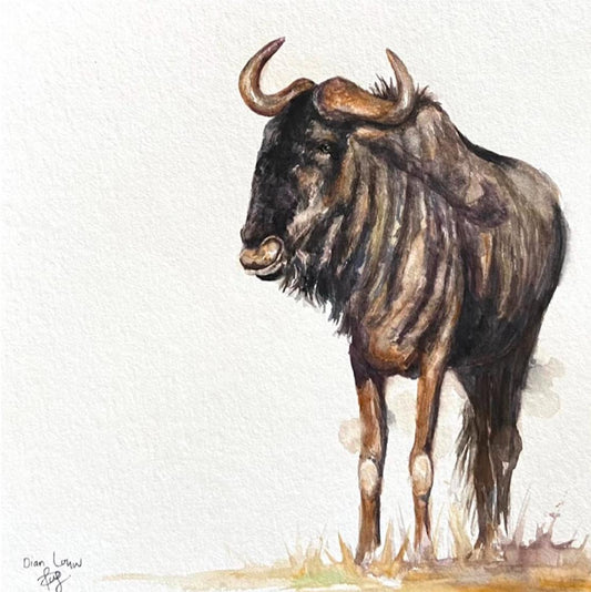 Blue wildebeest