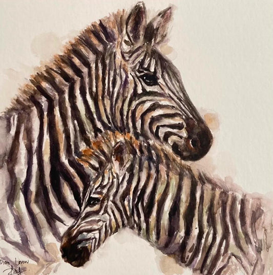 Two Zebras