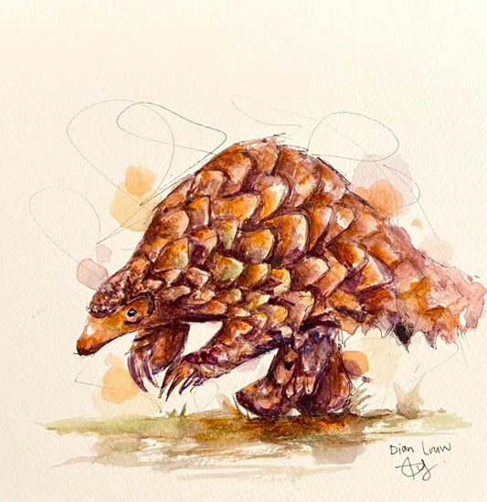 Pangolin Right
