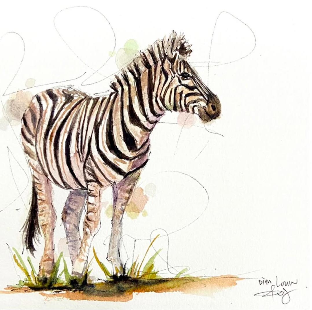 Zebra