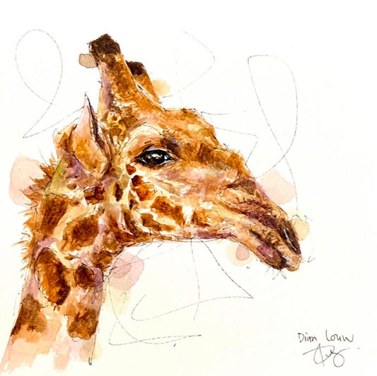 Giraffe close-up