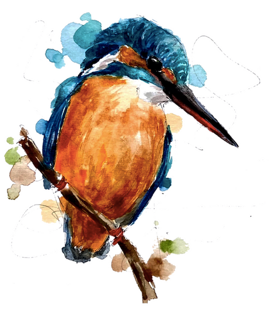 Malachite Kingfisher