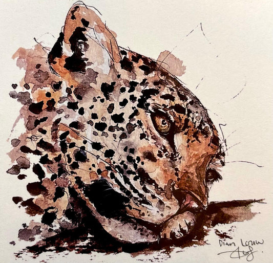 Leopard