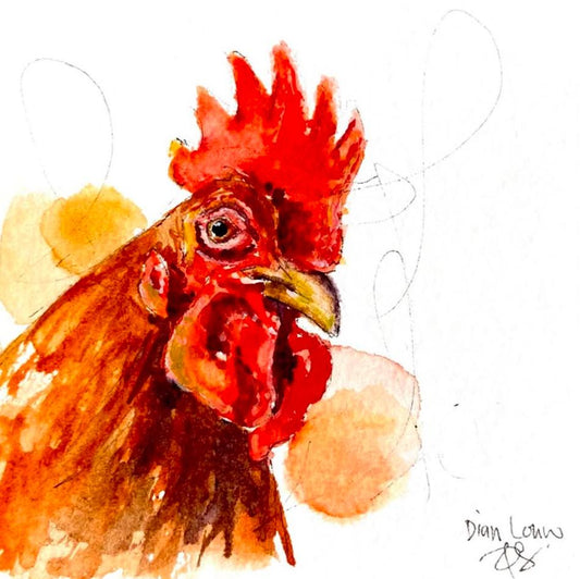 Rooster close-up
