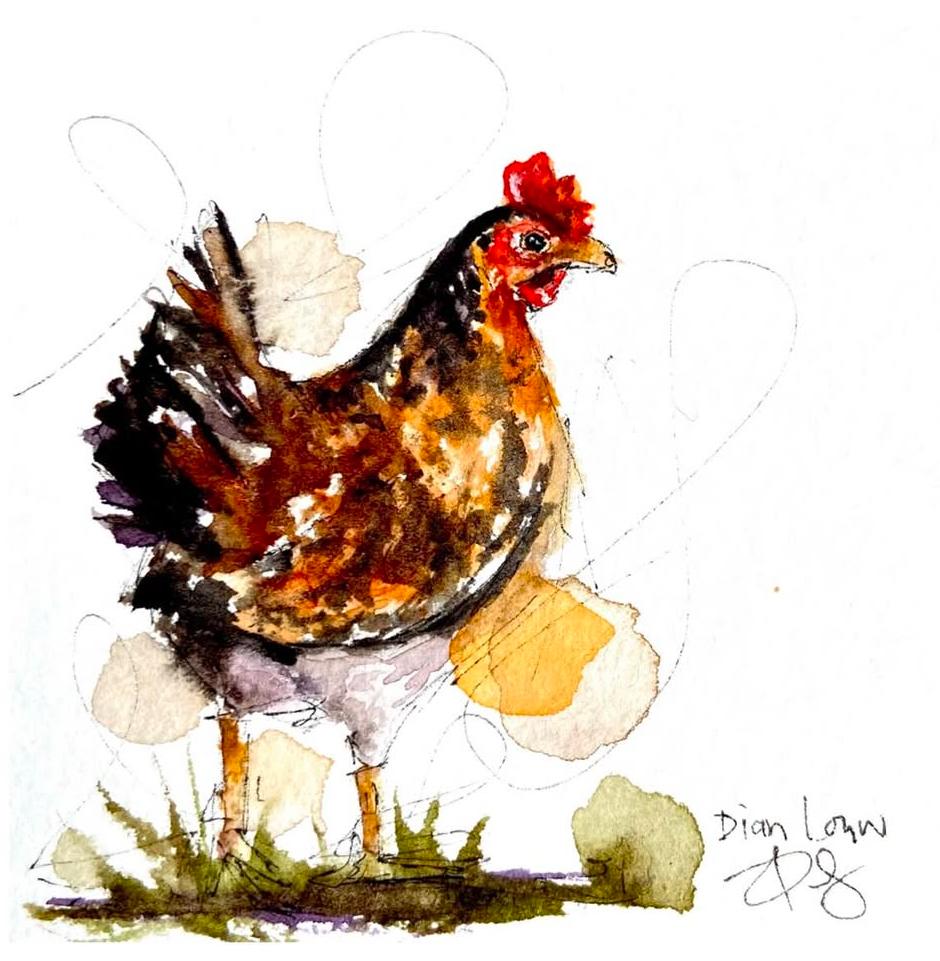 Chicken