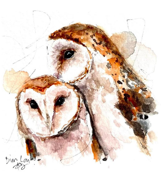 Two Barn owls