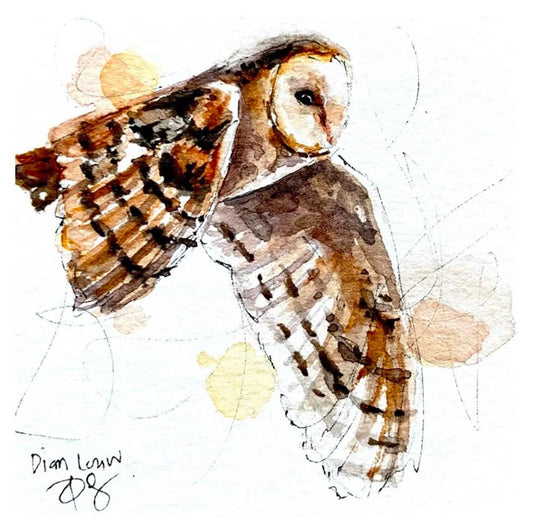Flying Barn owl