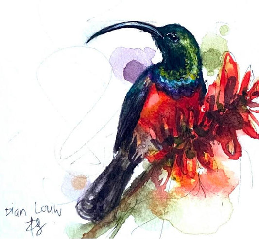 Red-chested Sunbird with red flower