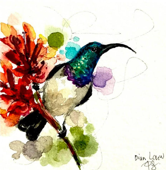 White-bellied sunbird with red flower