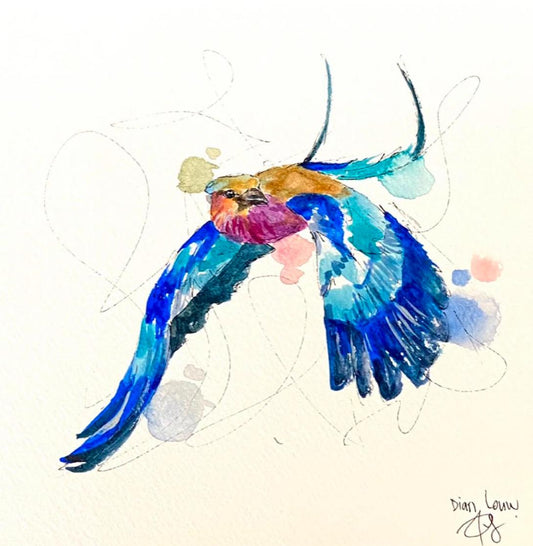 Lilac-breasted Roller in Flight #1