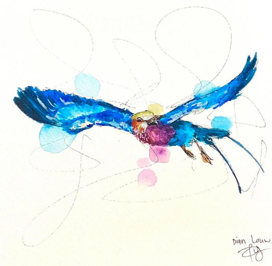 Lilac-breasted Roller in Flight #2