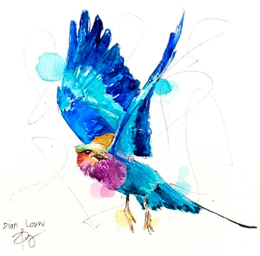 Lilac-breasted Roller in Flight #3