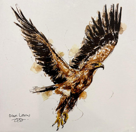 Tawny Eagle in flight / Roofarend
