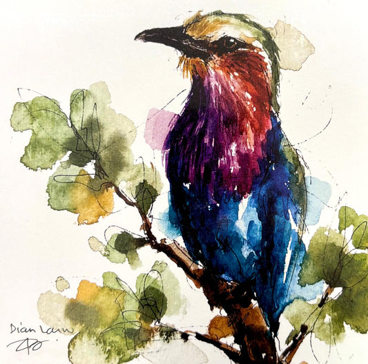Lilac-breasted Roller on branch