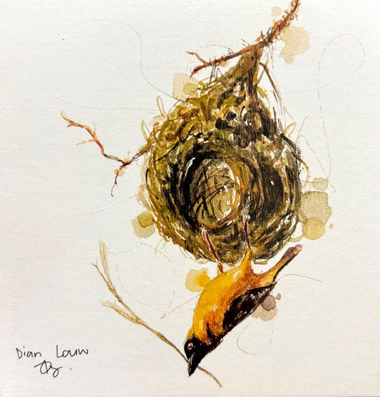 Weaver building a nest #2
