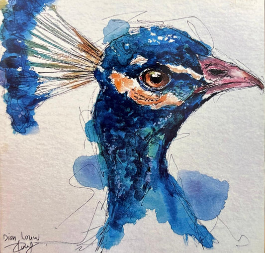 Peacock