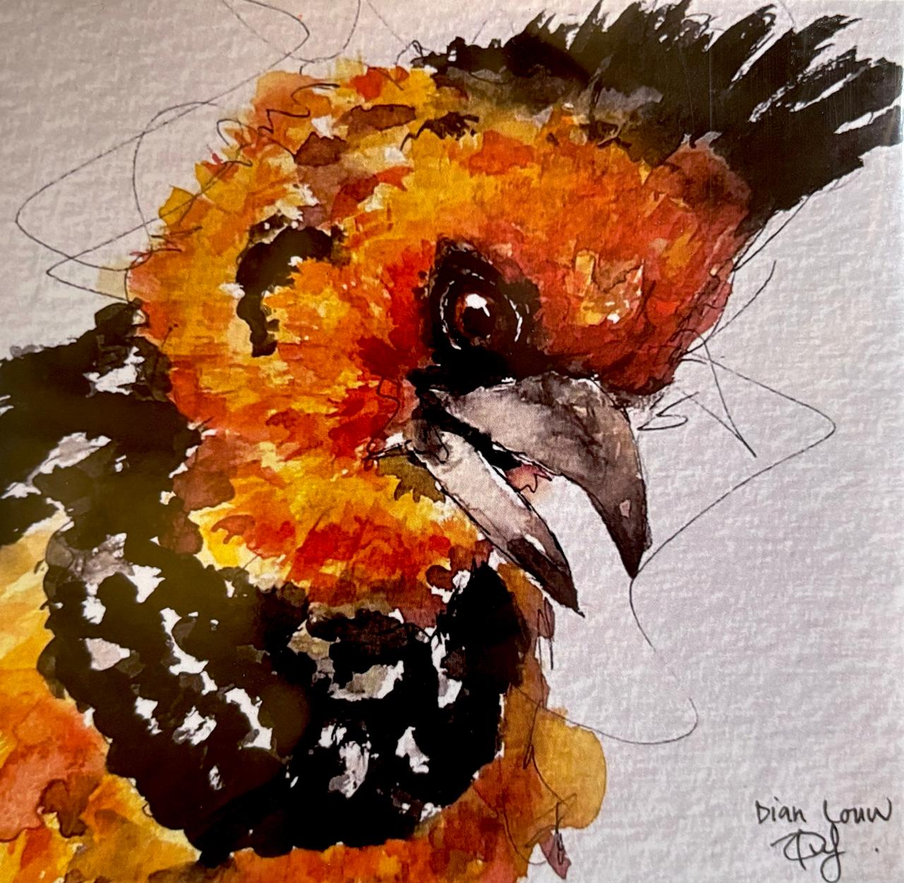 Crested barbet / Kuifkop-houtkapper