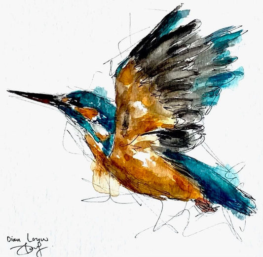 Kingfisher flying