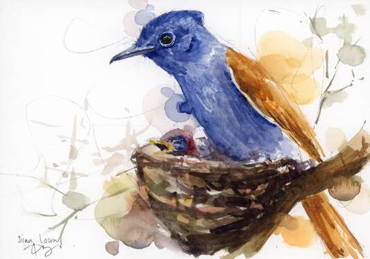 Paradise Flycatcher