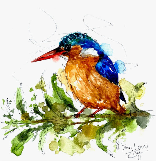 Kingfisher #2