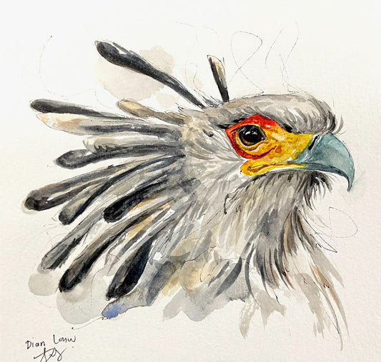 Secretary Bird looking right