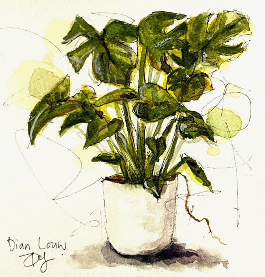 Tree Philodendron